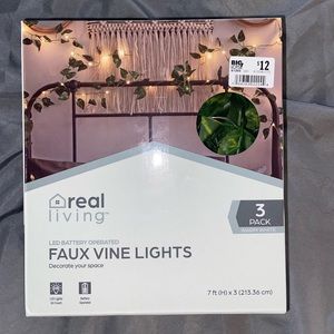 Aesthetic vines with fairy lights
